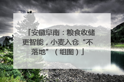 安徽阜南：粮食收储更智能，小麦入仓“不落地”（组图）