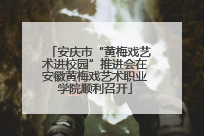 安庆市“黄梅戏艺术进校园”推进会在安徽黄梅戏艺术职业学院顺利召开