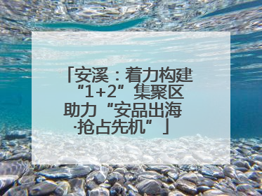 安溪：着力构建“1+2”集聚区 助力“安品出海·抢占先机”
