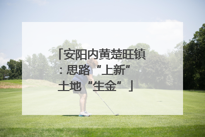 安阳内黄楚旺镇：思路“上新” 土地“生金”