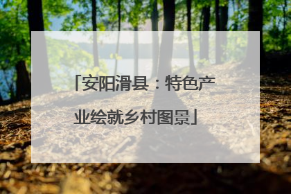 安阳滑县：特色产业绘就乡村图景