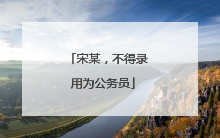 宋某，不得录用为公务员
