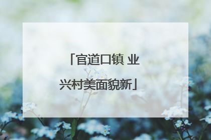 官道口镇 业兴村美面貌新
