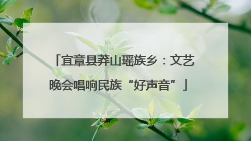 宜章县莽山瑶族乡：文艺晚会唱响民族“好声音”