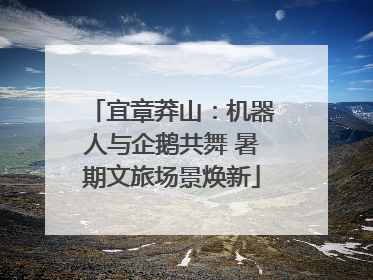 宜章莽山：机器人与企鹅共舞 暑期文旅场景焕新