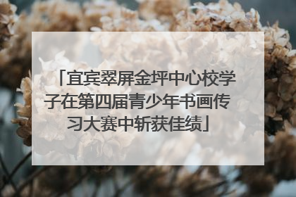 宜宾翠屏金坪中心校学子在第四届青少年书画传习大赛中斩获佳绩