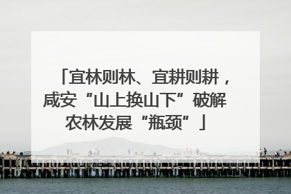 宜林则林、宜耕则耕，咸安“山上换山下”破解农林发展“瓶颈”