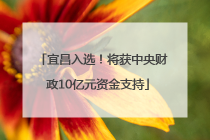 宜昌入选！将获中央财政10亿元资金支持