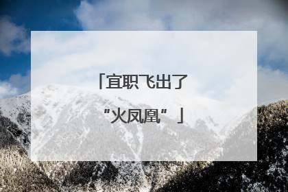 宜职飞出了“火凤凰”