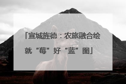宣城旌德：农旅融合绘就“莓”好“蓝”图