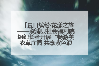 夏日缤纷·花漾之旅——溆浦县社会福利院组织长者开展“畅游薰衣草庄园 共享紫色浪漫”户外活动