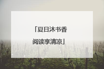 夏日沐书香 阅读享清凉