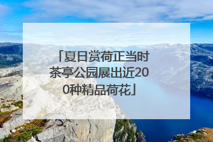 夏日赏荷正当时 茶亭公园展出近200种精品荷花