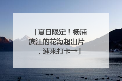 夏日限定！杨浦滨江的花海超出片，速来打卡→