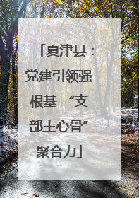 夏津县：党建引领强根基 “支部主心骨”聚合力