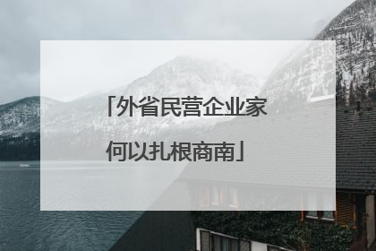 外省民营企业家何以扎根商南