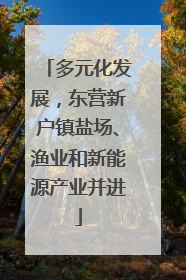 多元化发展，东营新户镇盐场、渔业和新能源产业并进