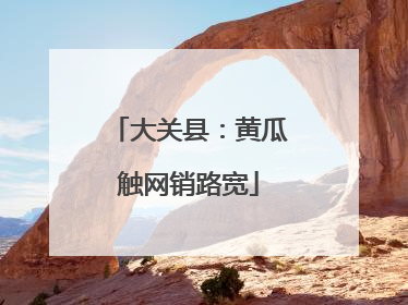 大关县：黄瓜触网销路宽