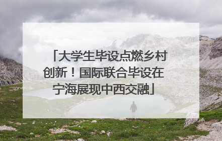 大学生毕设点燃乡村创新！国际联合毕设在宁海展现中西交融