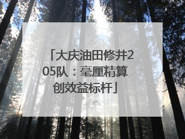 大庆油田修井205队：毫厘精算创效益标杆