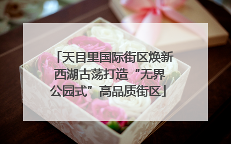 天目里国际街区焕新 西湖古荡打造“无界公园式”高品质街区