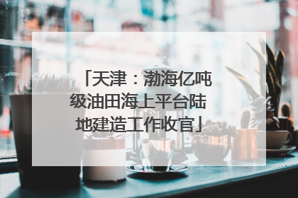 天津：渤海亿吨级油田海上平台陆地建造工作收官