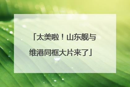 太美啦！山东舰与维港同框大片来了