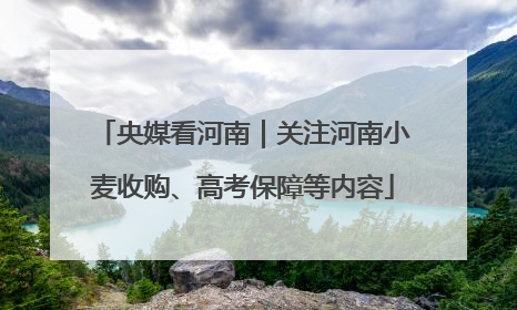 央媒看河南｜关注河南小麦收购、高考保障等内容