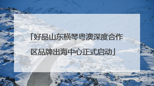 好品山东横琴粤澳深度合作区品牌出海中心正式启动
