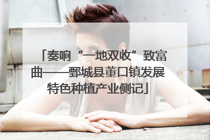 奏响“一地双收”致富曲——鄄城县董口镇发展特色种植产业侧记