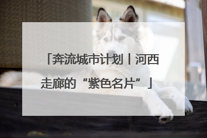 奔流城市计划丨河西走廊的“紫色名片”
