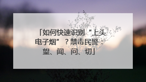 如何快速识别“上头电子烟”？禁毒民警：望、闻、问、切