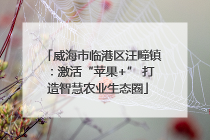 威海市临港区汪疃镇：激活“苹果+” 打造智慧农业生态圈