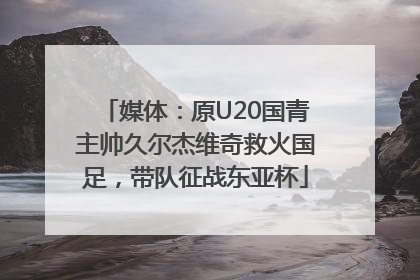 媒体：原U20国青主帅久尔杰维奇救火国足，带队征战东亚杯