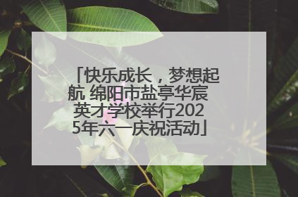 快乐成长，梦想起航 绵阳市盐亭华宸英才学校举行2025年六一庆祝活动