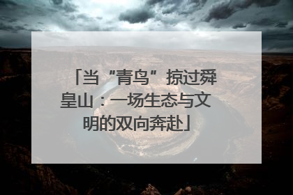 当“青鸟”掠过舜皇山：一场生态与文明的双向奔赴