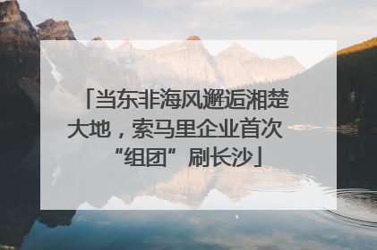 当东非海风邂逅湘楚大地，索马里企业首次“组团”刷长沙