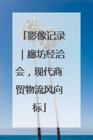 影像记录｜廊坊经洽会，现代商贸物流风向标