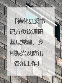 德化县委书记方俊钦调研基层党建、乡村振兴及防汛备汛工作