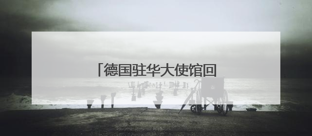 德国驻华大使馆回应樊振东赴德打球