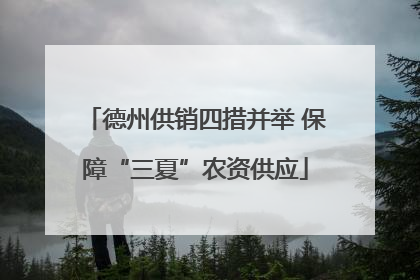 德州供销四措并举 保障“三夏”农资供应