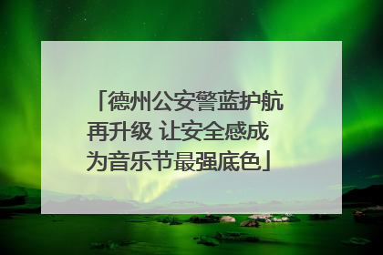 德州公安警蓝护航再升级 让安全感成为音乐节最强底色