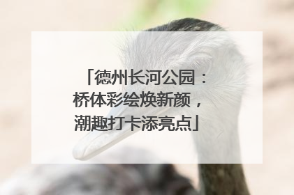 德州长河公园：桥体彩绘焕新颜，潮趣打卡添亮点