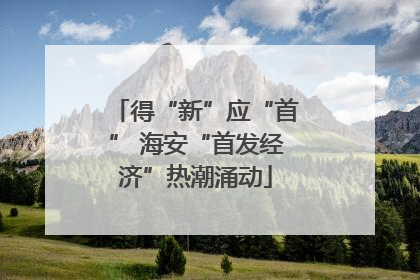 得“新”应“首” 海安“首发经济”热潮涌动