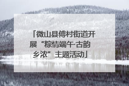 微山县傅村街道开展“粽情端午·古韵乡浓”主题活动