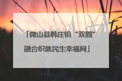 微山县韩庄镇“双圈”融合织就民生幸福网