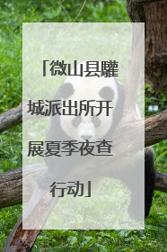 微山县驩城派出所开展夏季夜查行动