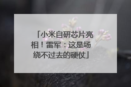 小米自研芯片亮相！雷军：这是场绕不过去的硬仗