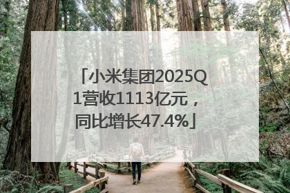 小米集团2025Q1营收1113亿元，同比增长47.4%