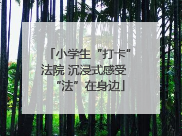 小学生“打卡”法院 沉浸式感受“法”在身边